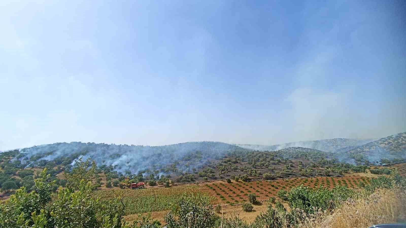 Mardin’de 5 ayrı noktada çıkan yangın söndürüldü
