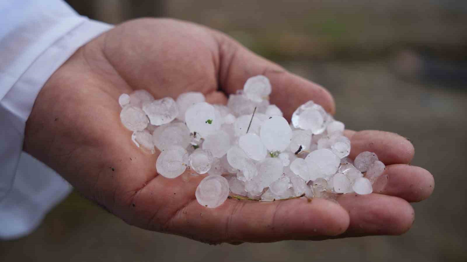 Sel felaketiyle karşı karşıya kalan çiftçi: 