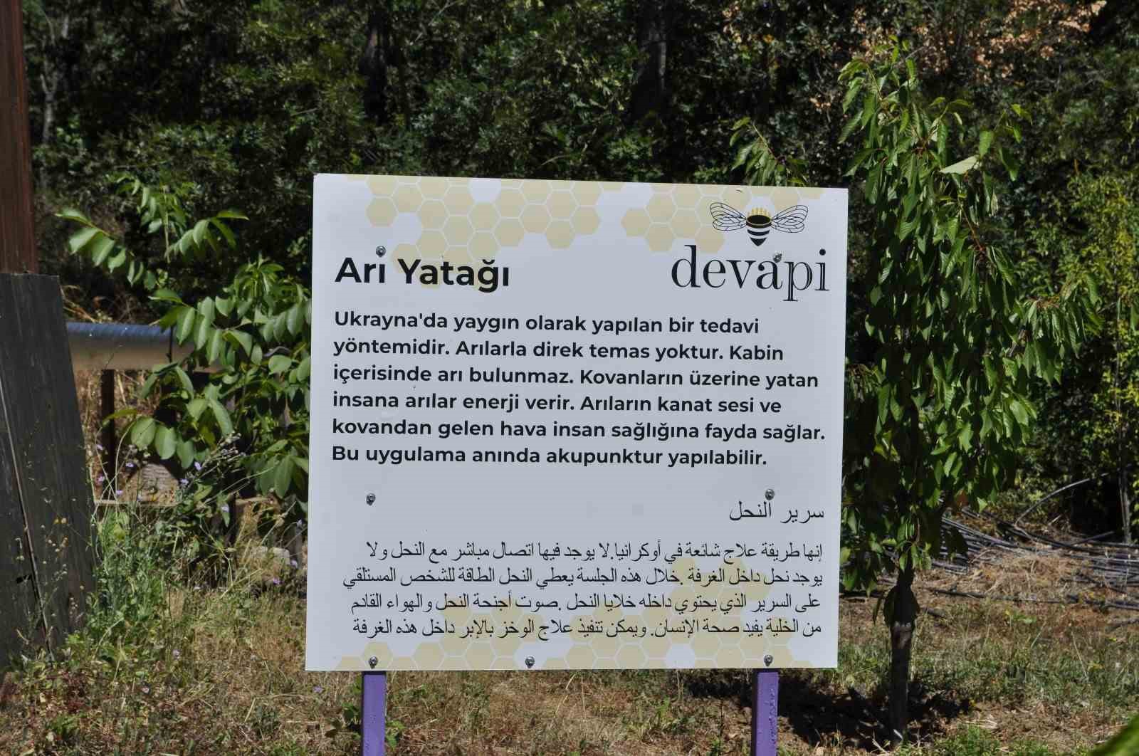 Binlerce arının üzerine yatan, daha dinç kalkıyor
