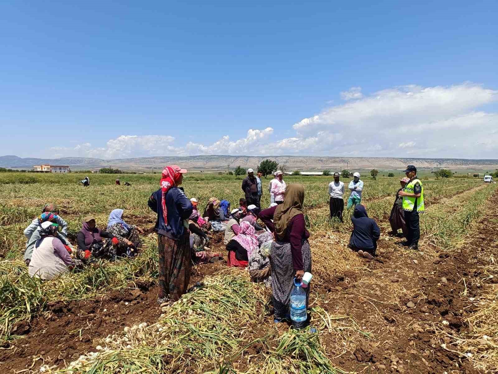 357 mevsimlik tarım işçisine jandarmadan eğitim
