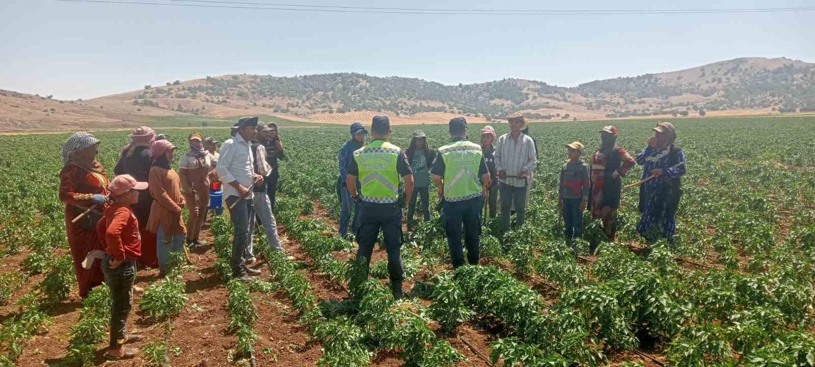 357 mevsimlik tarım işçisine jandarmadan eğitim
