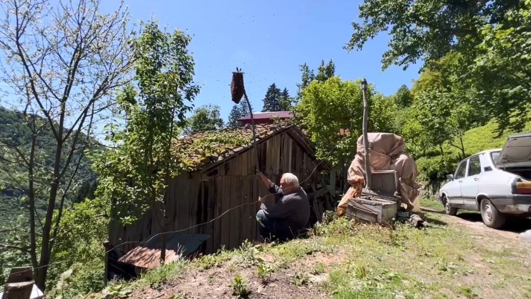 Arılar oğul verdi, babasının yeni koloni oluşturma sürecini film gibi çekti
