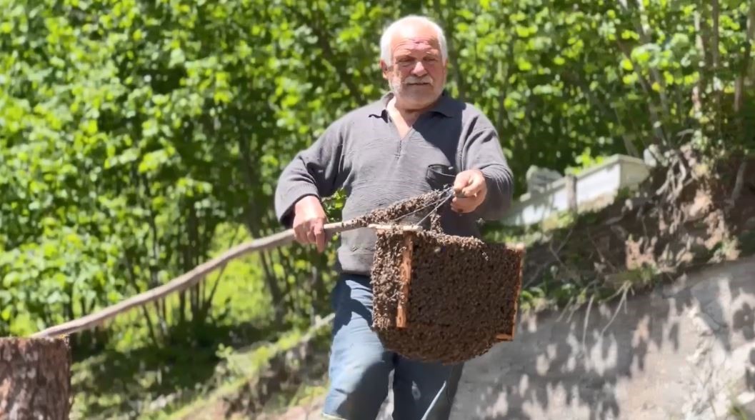 Arılar oğul verdi, babasının yeni koloni oluşturma sürecini film gibi çekti
