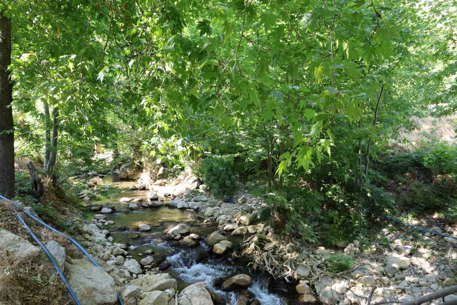 Mevsimlik işçi olarak girdiği belediyeye ‘başkan’ oldu, şimdi ilçesini dünyaya tanıtmak istiyor
