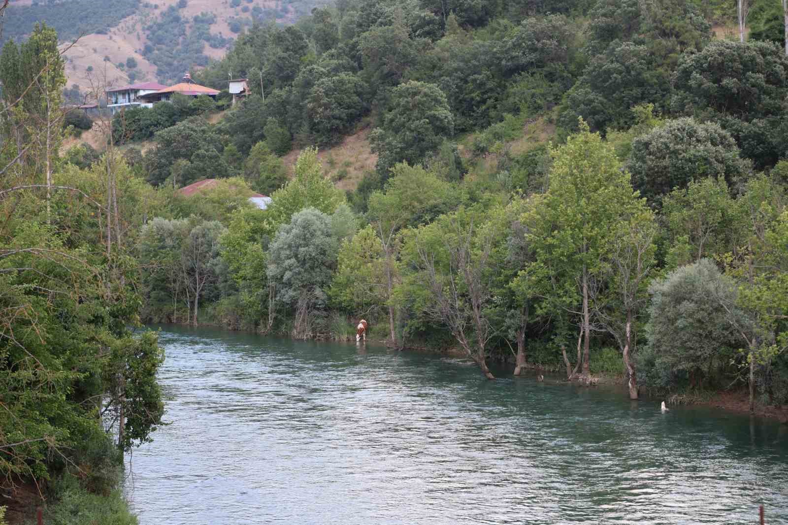 Mevsimlik işçi olarak girdiği belediyeye ‘başkan’ oldu, şimdi ilçesini dünyaya tanıtmak istiyor
