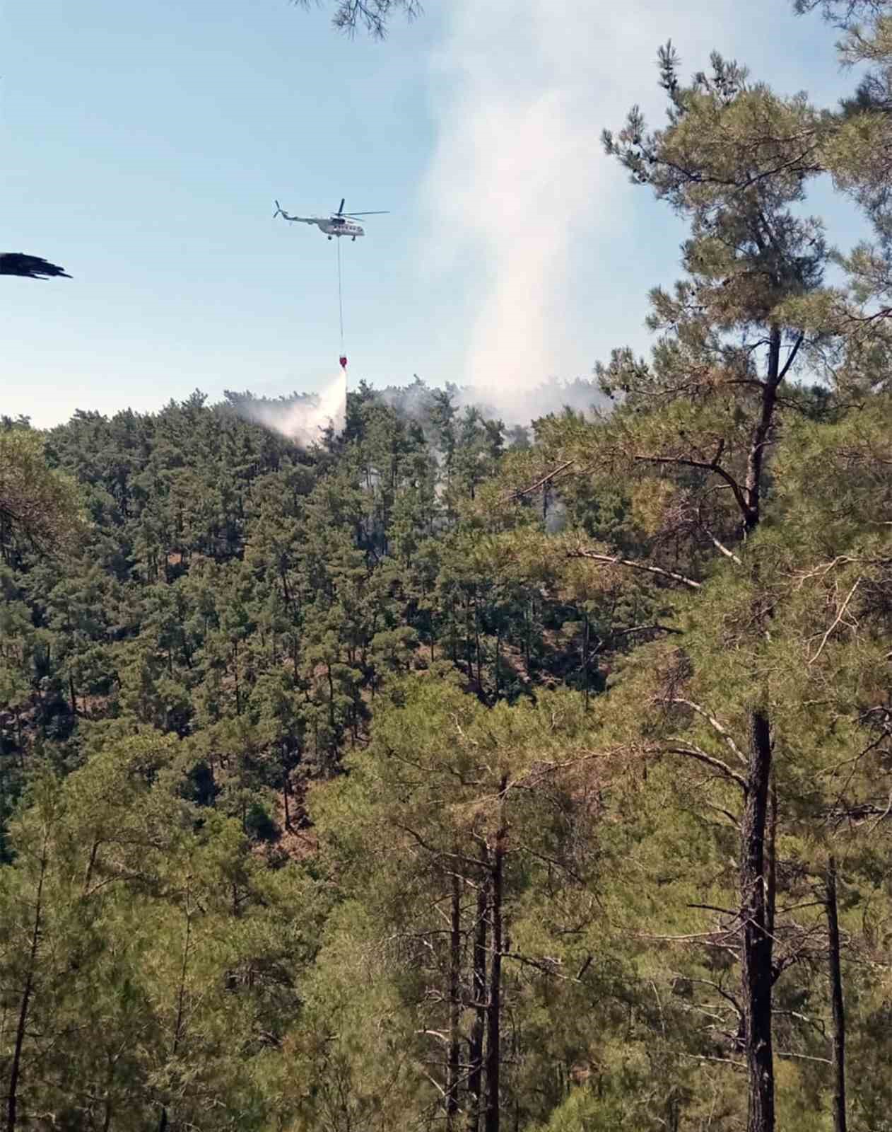 Orman yangını büyümeden söndürüldü
