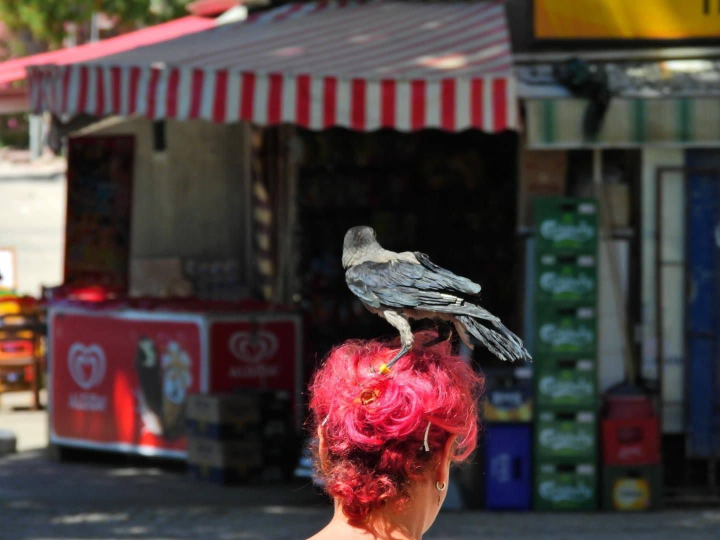 Erdek’e kargasıyla gelen tatilci ilgi odağı oldu
