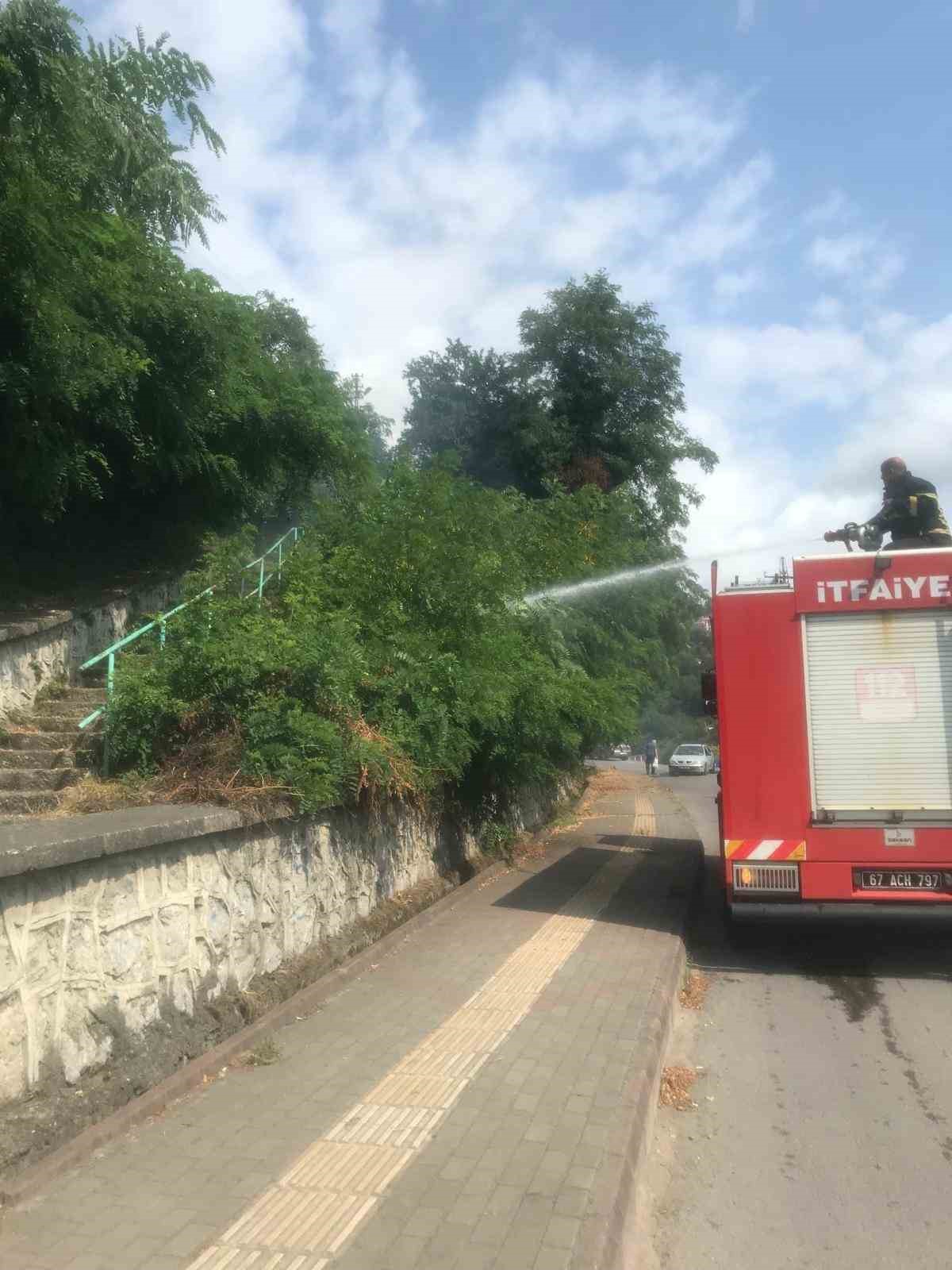 Anız yangını büyümeden söndürüldü
