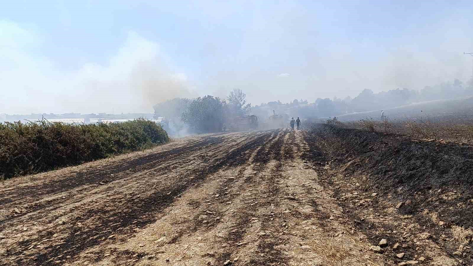 Çöplerden çıkan yangın, zeytin ağaçlarına zarar verdi
