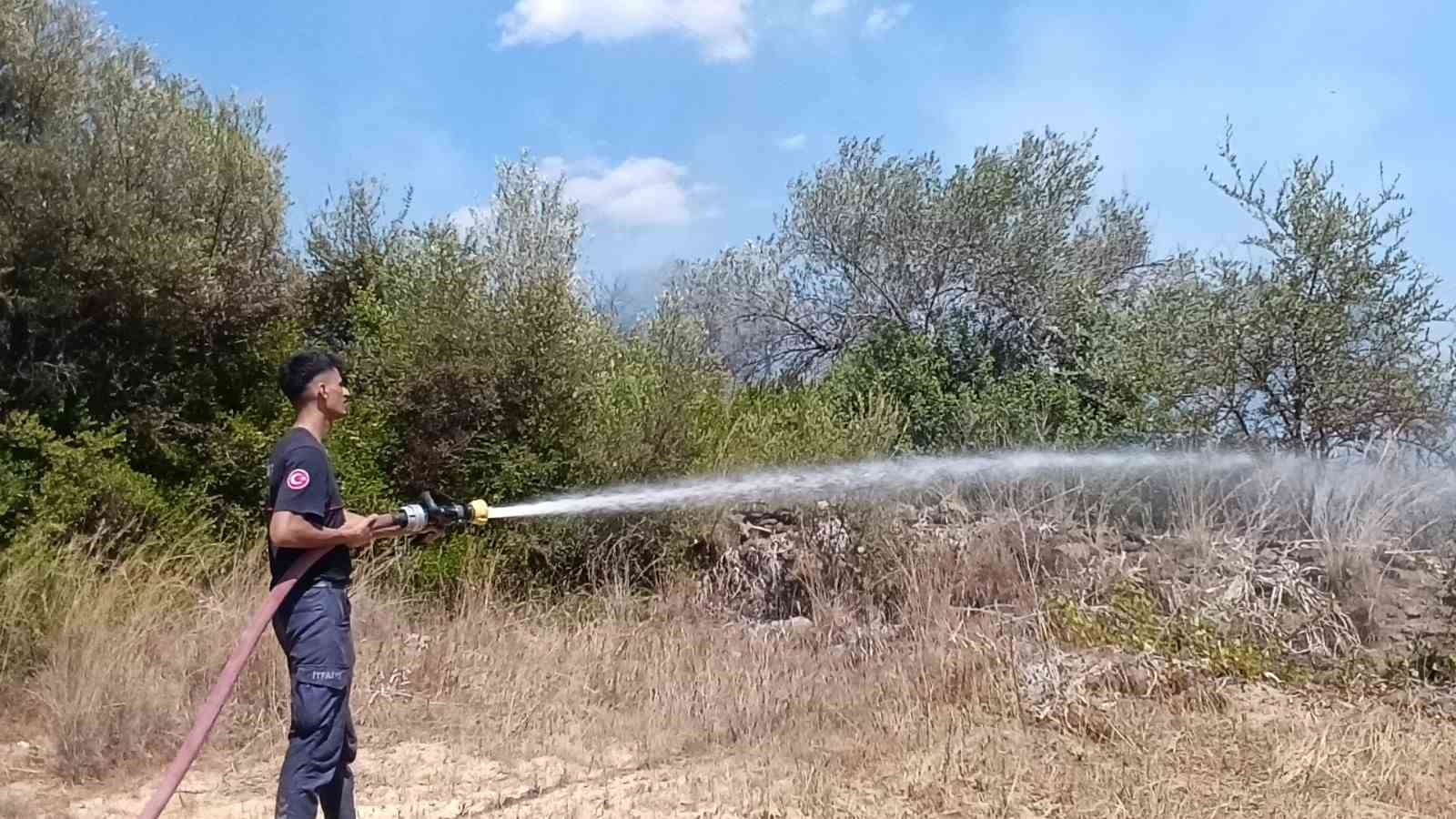 Çöplerden çıkan yangın, zeytin ağaçlarına zarar verdi
