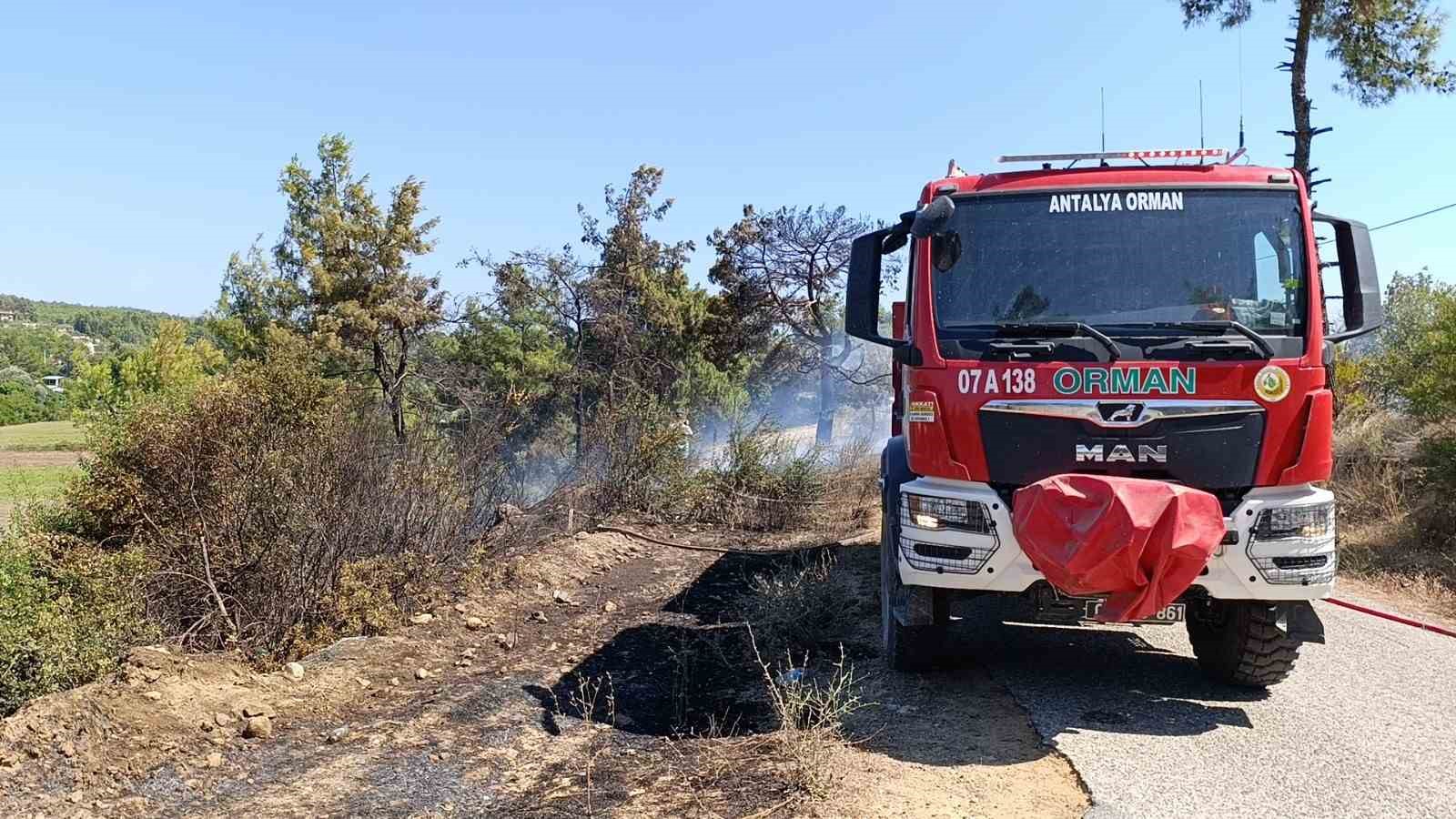 Çöplerden çıkan yangın, zeytin ağaçlarına zarar verdi
