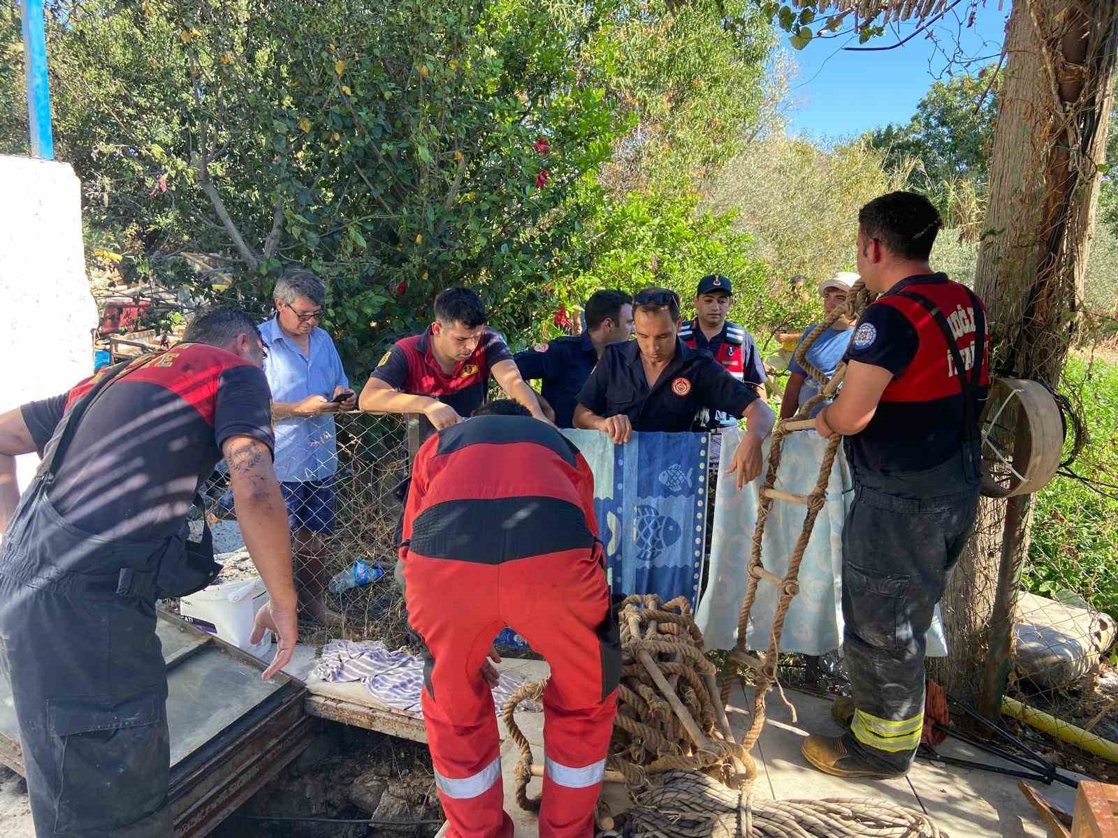 Evini yakıp kendini kuyuya attı
