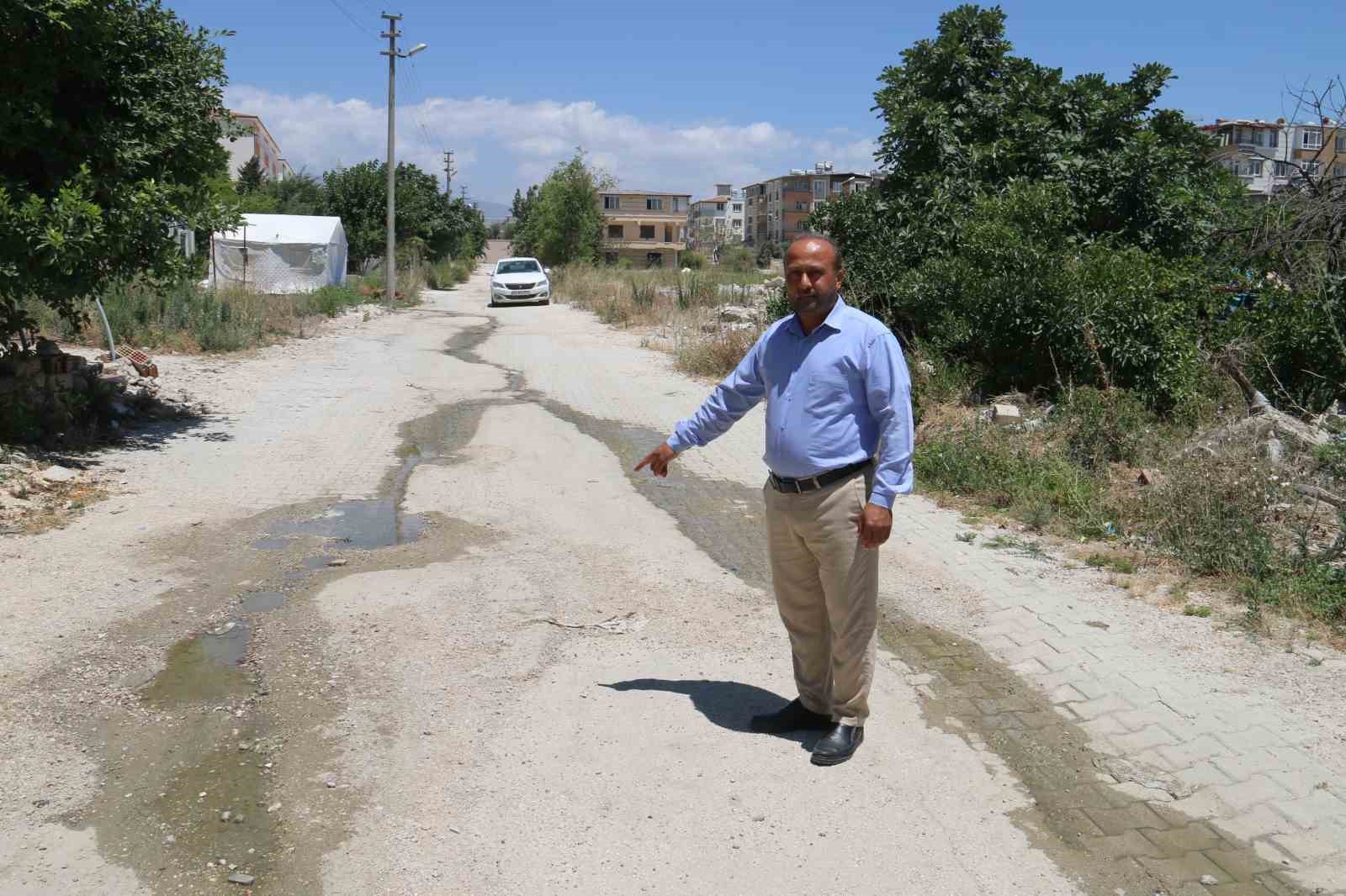 Aracın, su içen kediyi ezdiği anlar kamerada
