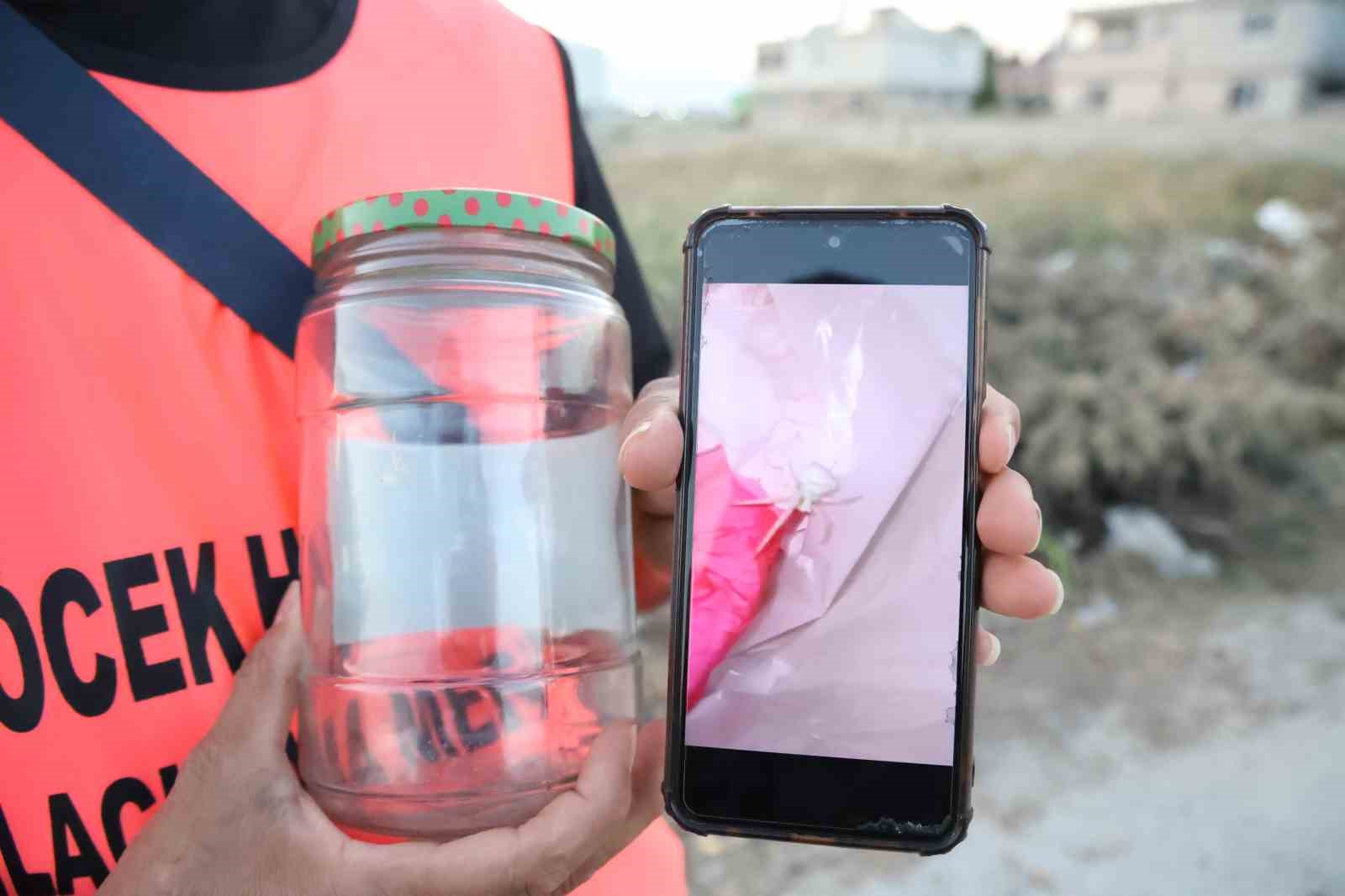 İnsanlarda merak uyandıran ’insan yüzlü örümceği’ kavanozda besliyor
