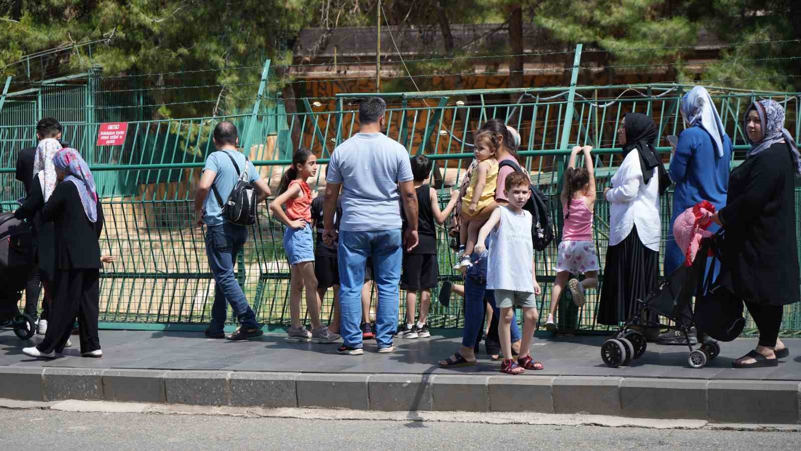 Kavurucu sıcaklarda hayvanlar buzlu kokteyl ile serinliyor
