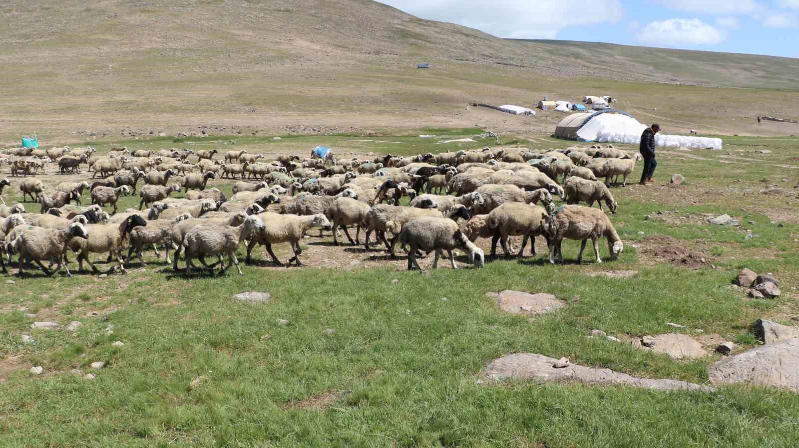 Devletten göçerlere destek
