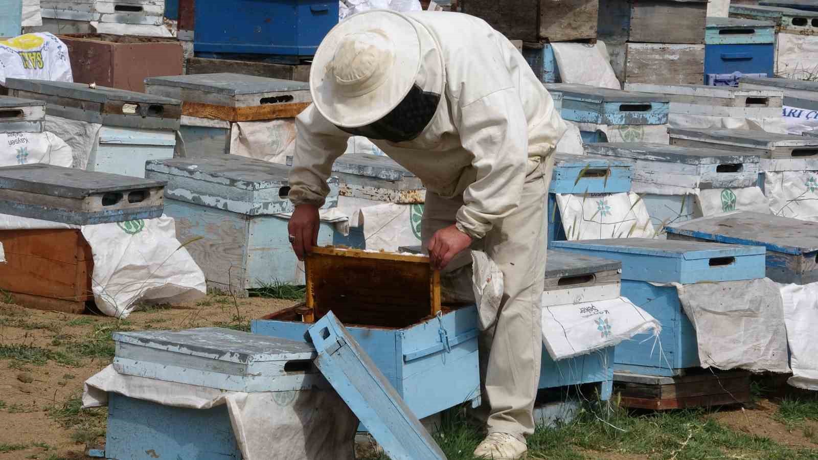 Türkiye’nin ilk milli parkında “Bal Ormanı” oluşturuldu
