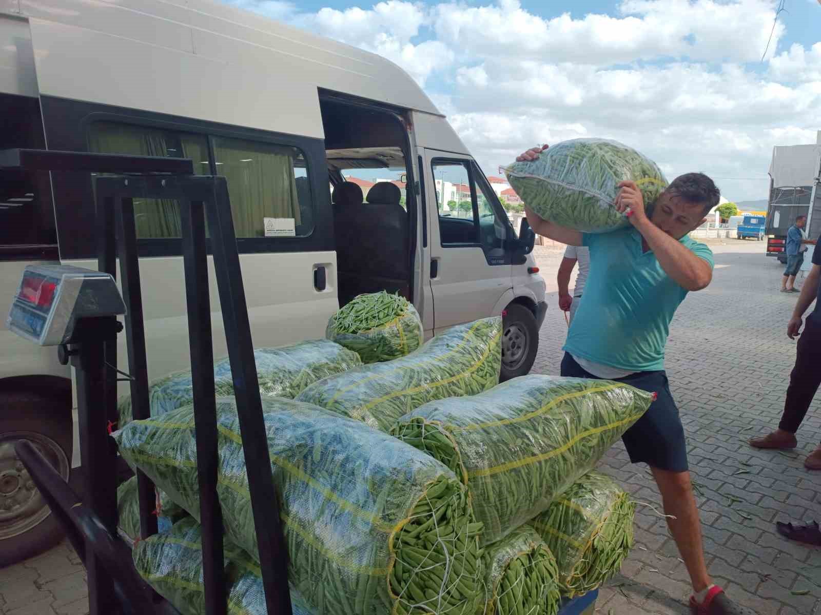 Afyonkarahisar’da yeşil fasulye kalite ve fiyatıyla altın çağını yaşıyor
