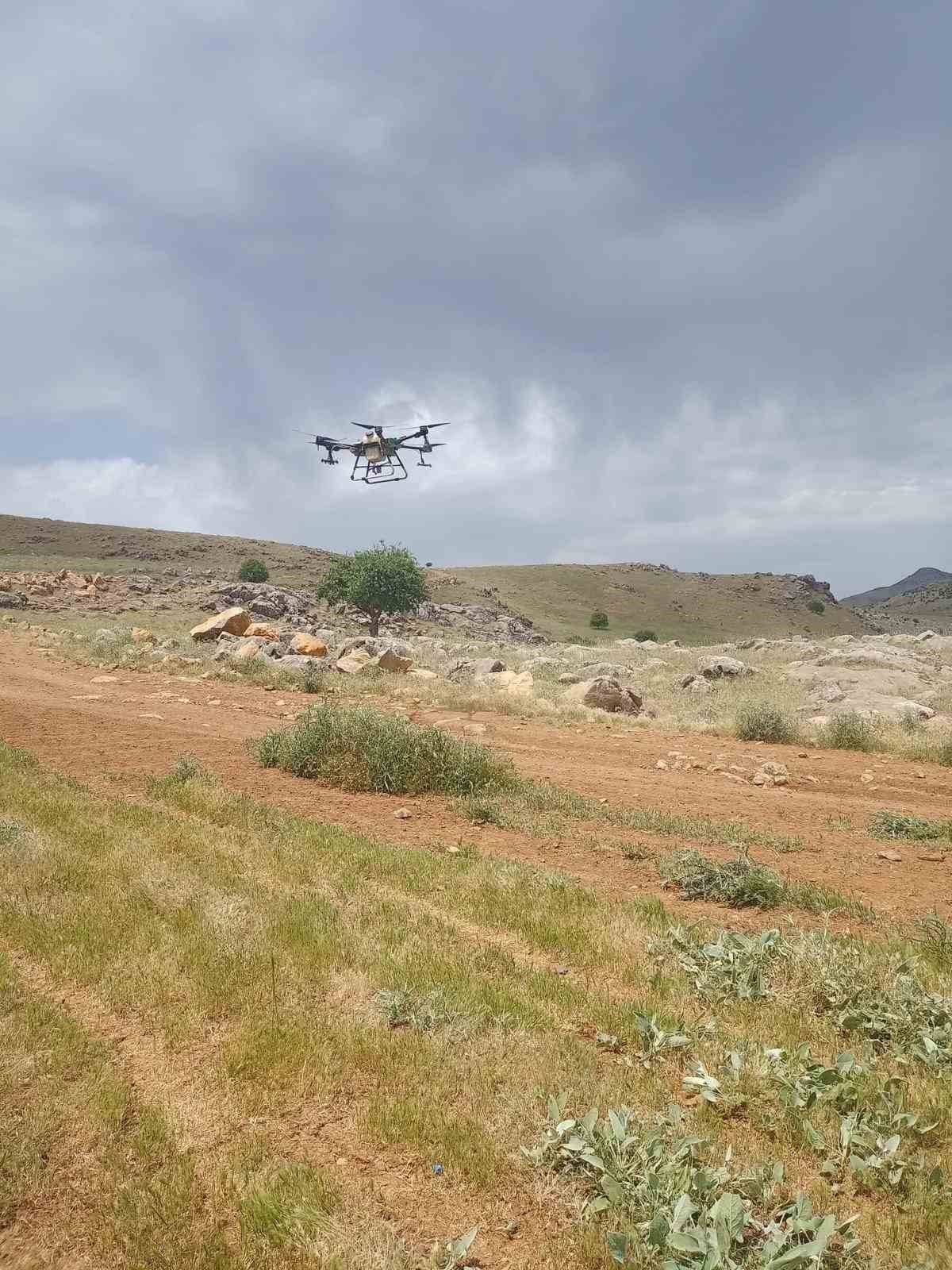 Siirt’te ilk defa dron ile çekirge ilaçlama yapıldı
