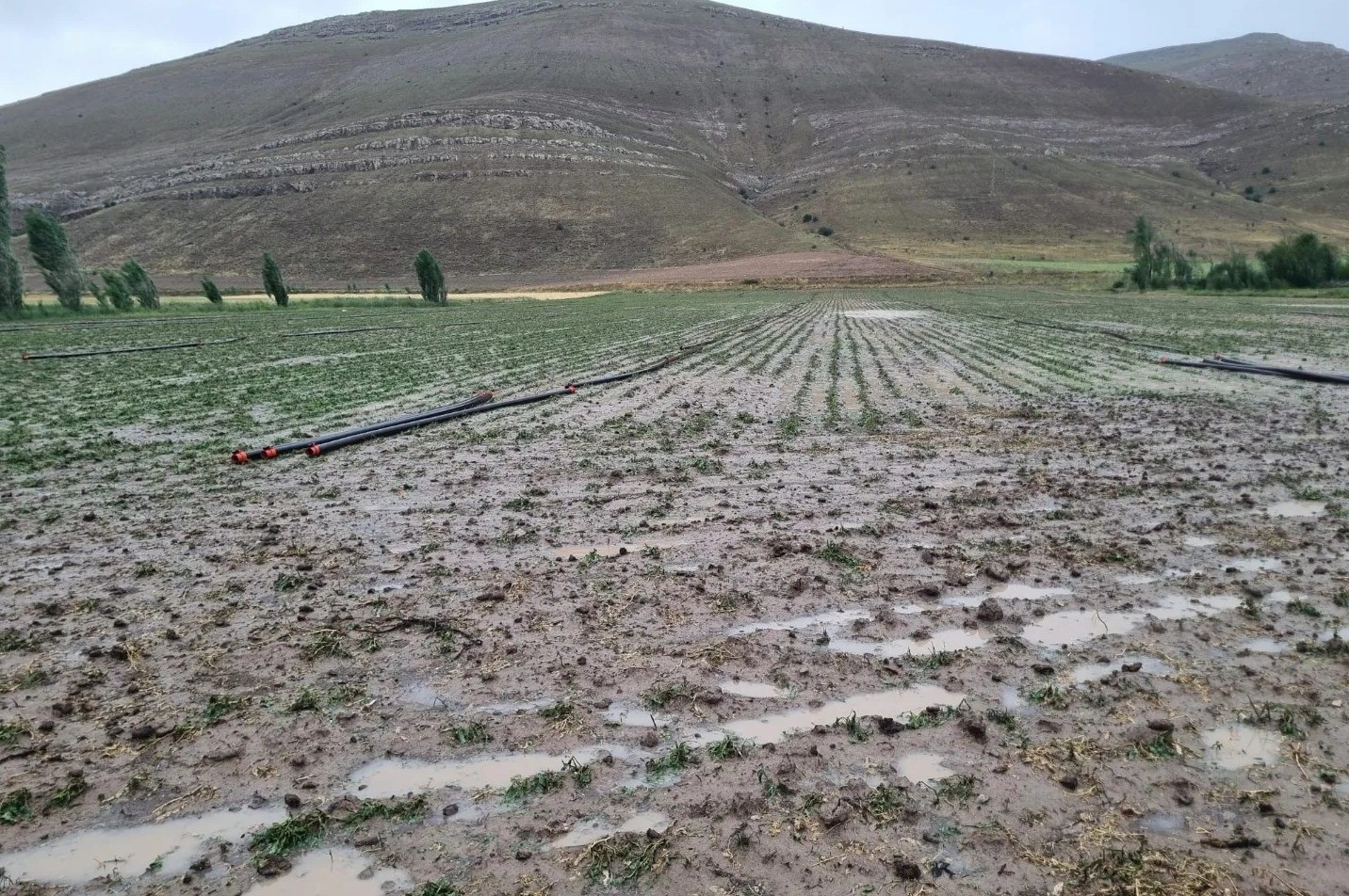 Bayburt’ta dolu ekili alanlara zarar verdi
