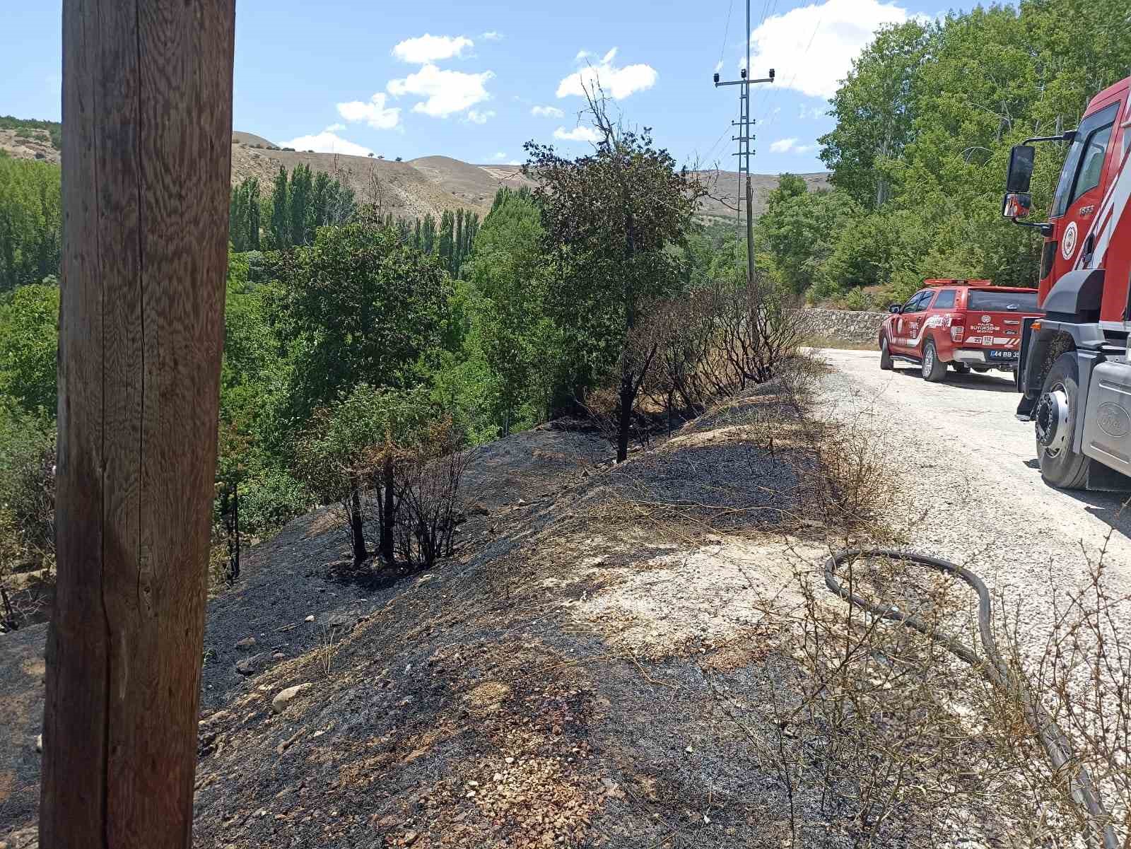 Malatya’da bahçelik alanda korkutan yangın
