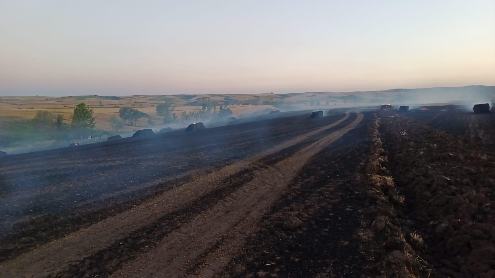 Tekirdağ’da anız yangını
