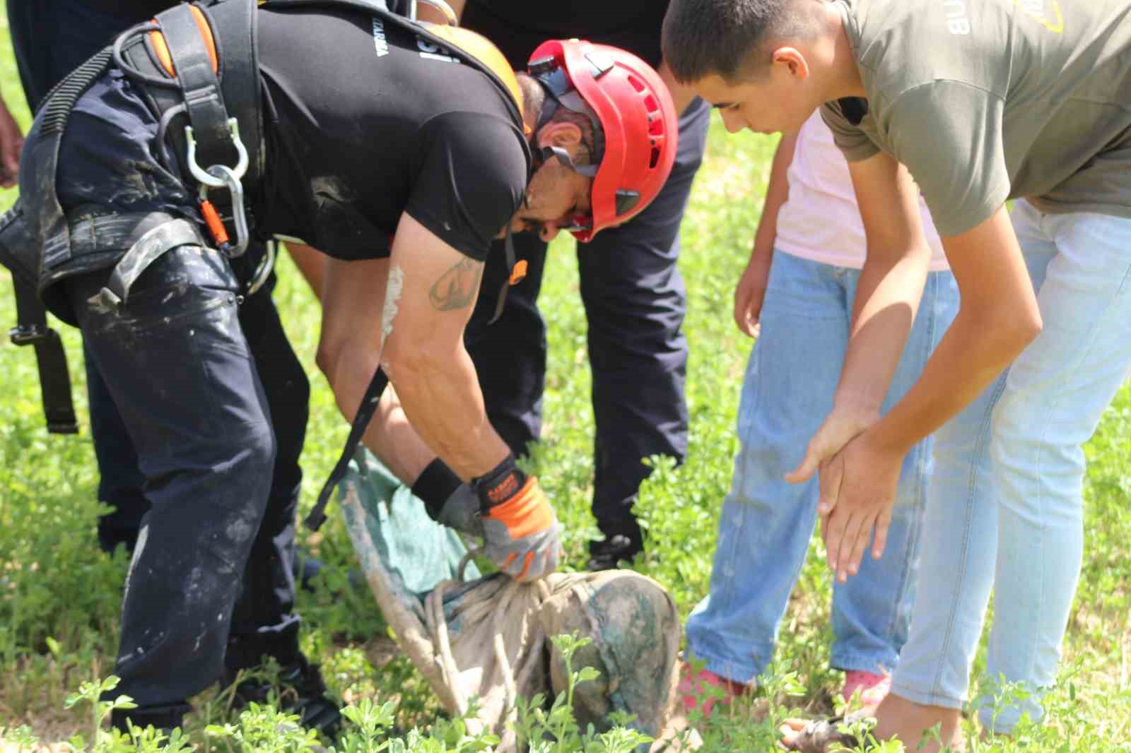 Konya’da obruğa düşen köpeği itfaiye kurtardı
