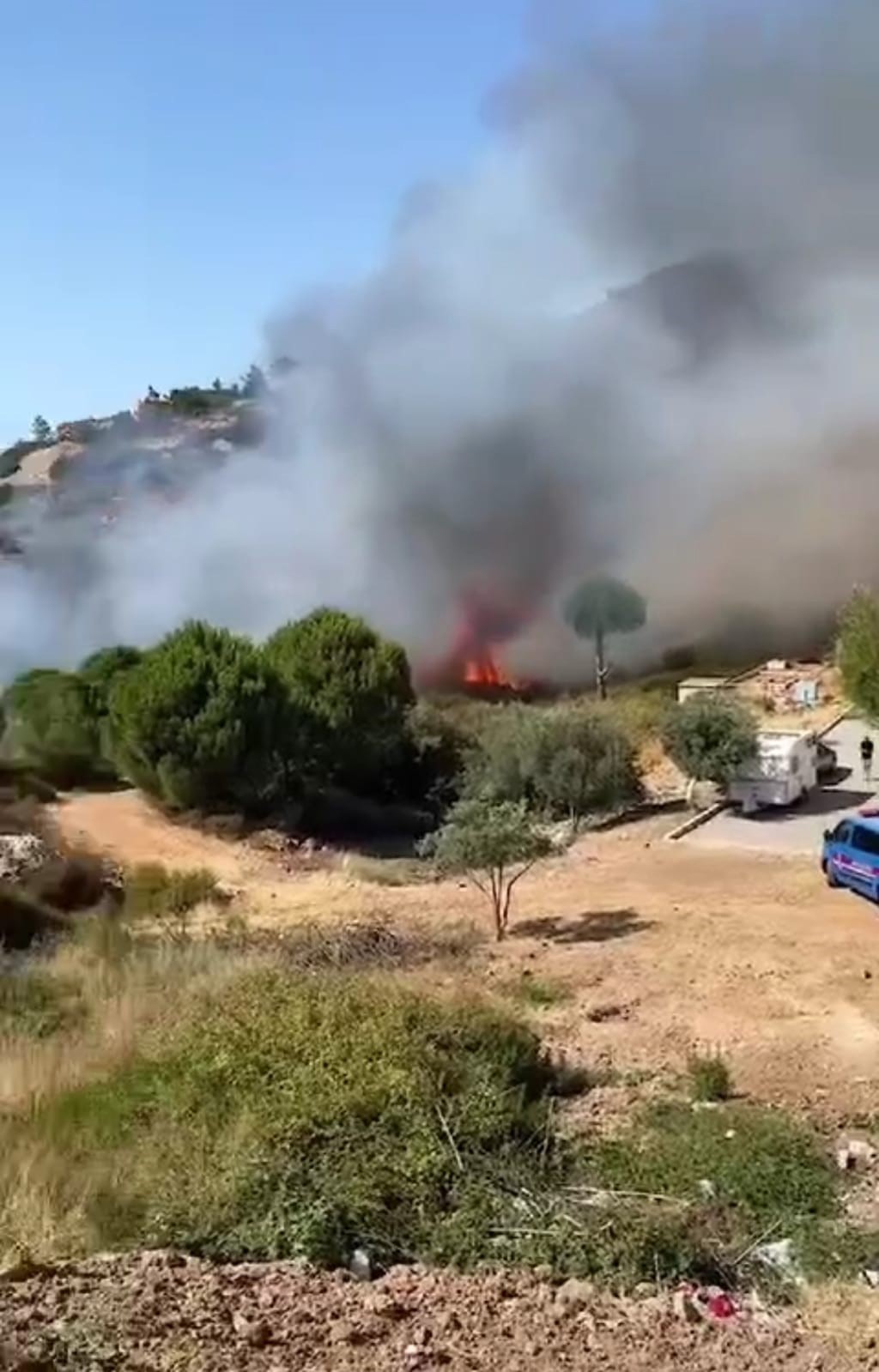 Foça’daki orman yangınına havadan ve karadan müdahale
