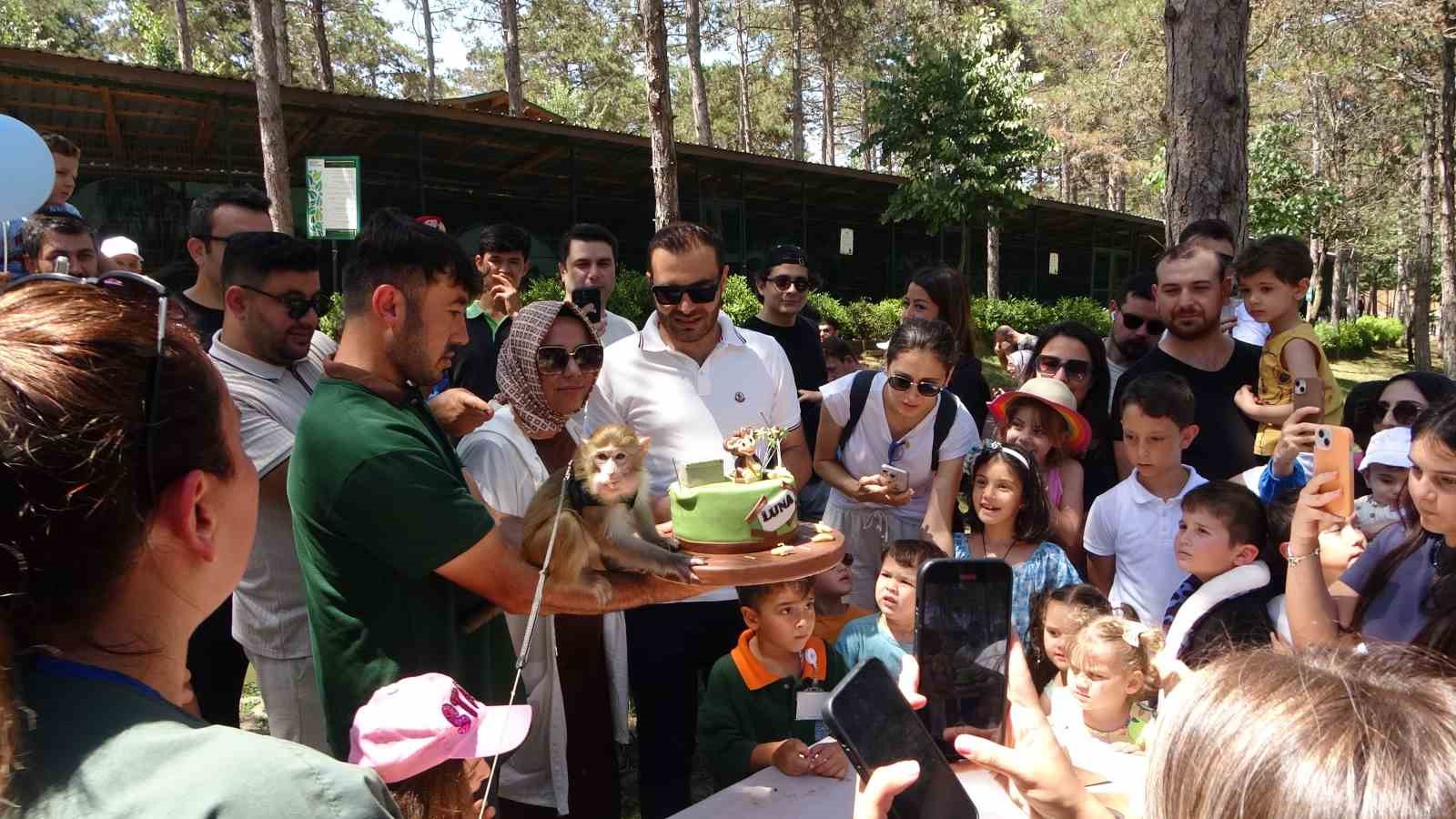 Maymun Luna’nın doğum günü Çekmeköy hayvanat bahçesinde çocuklarla beraber kutlandı
