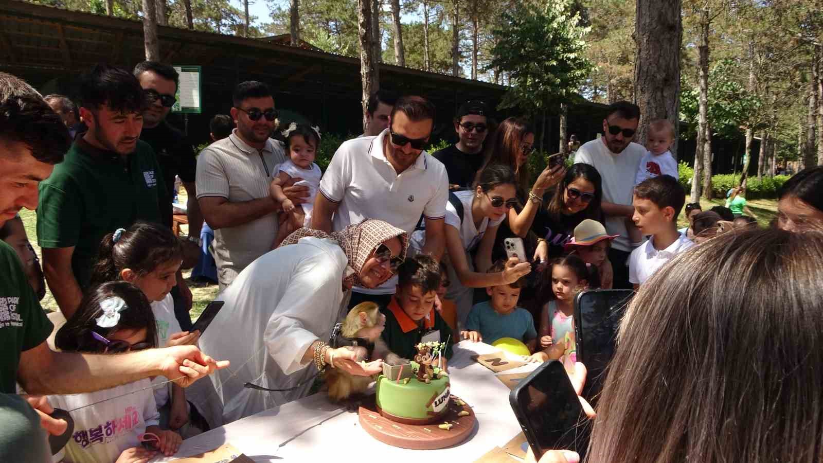 Maymun Luna’nın doğum günü Çekmeköy hayvanat bahçesinde çocuklarla beraber kutlandı
