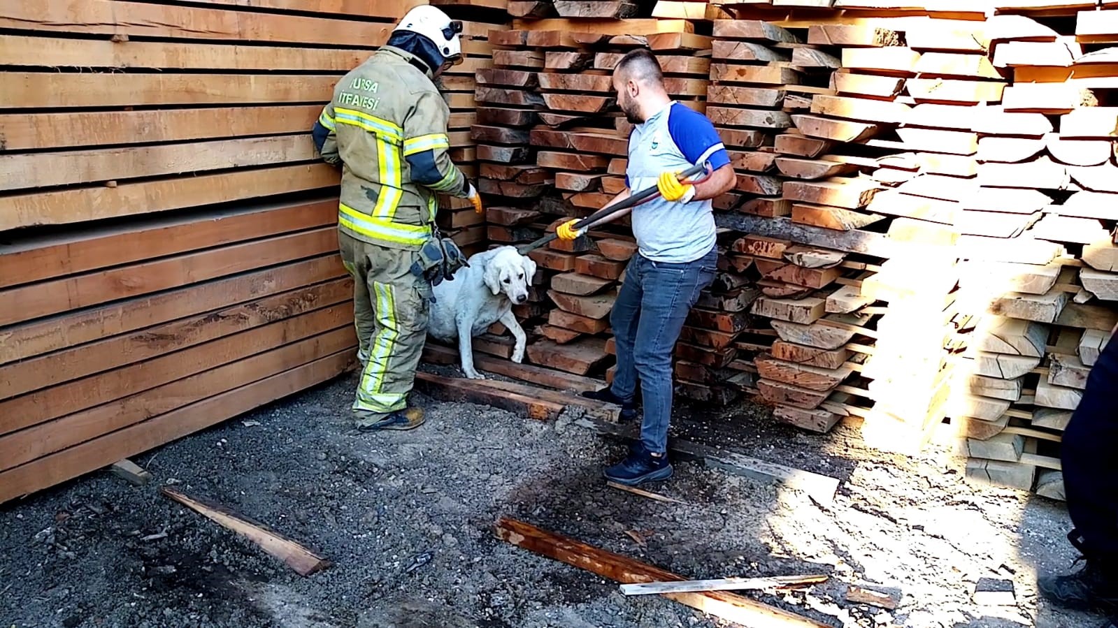 Kerestelerin arasına sıkışan köpeği itfaiye kurtardı
