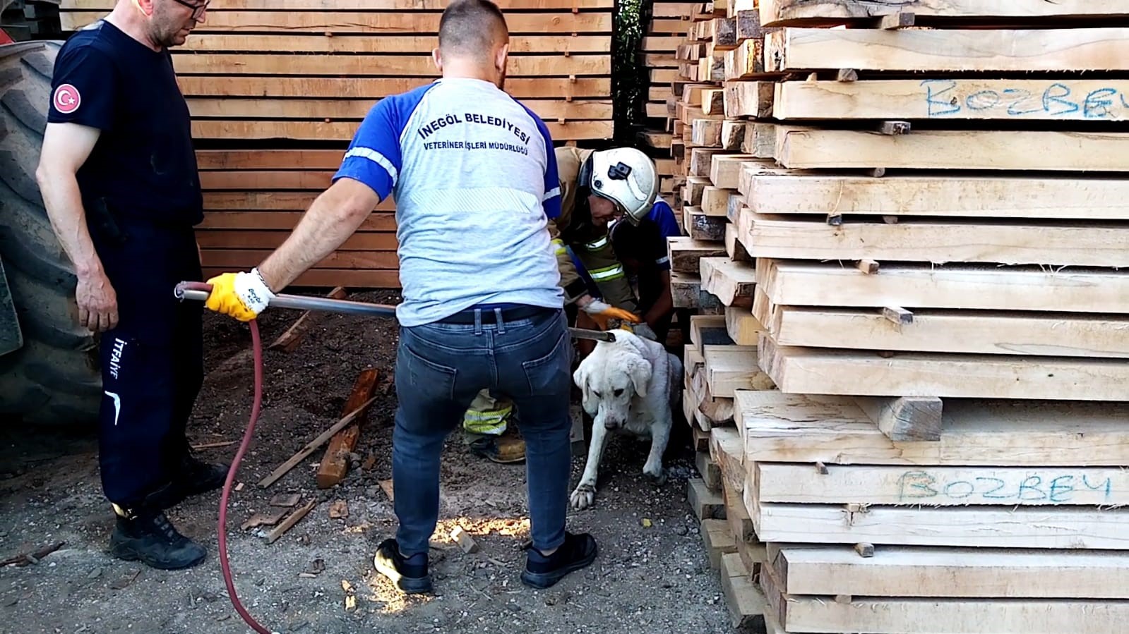 Kerestelerin arasına sıkışan köpeği itfaiye kurtardı
