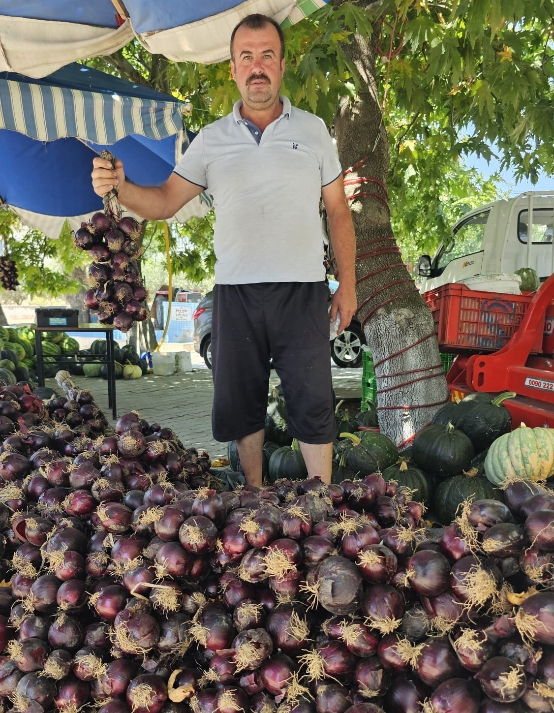 Kapıdağ mor soğanı tezgahlarda yerini aldı
