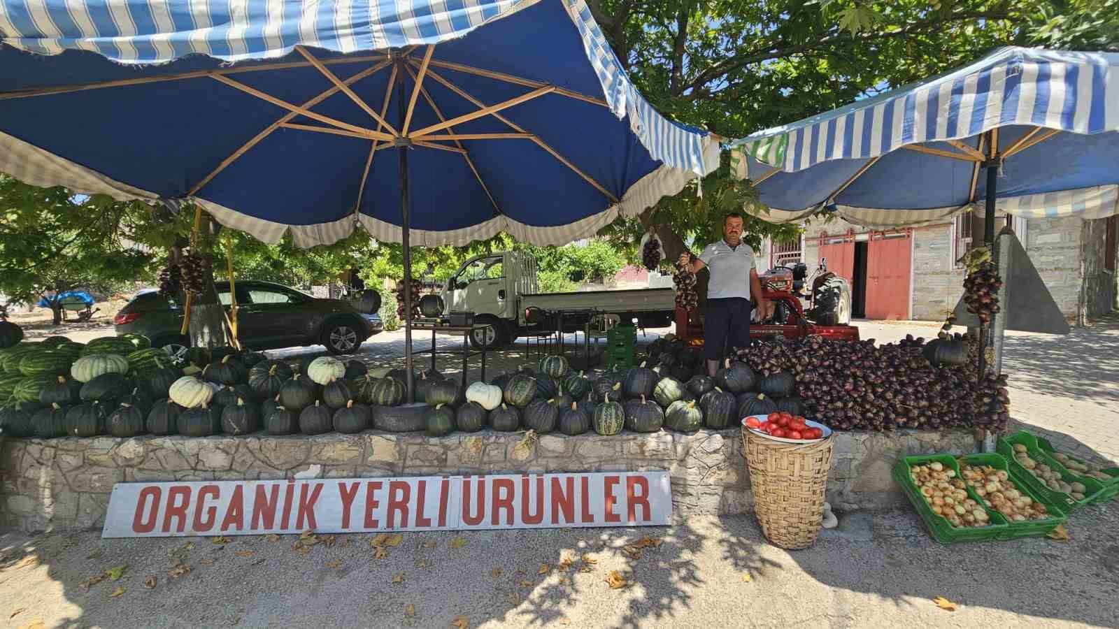 Kapıdağ mor soğanı tezgahlarda yerini aldı
