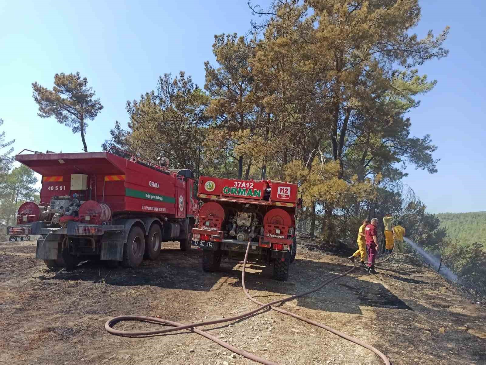 Milas yangını söndürüldü
