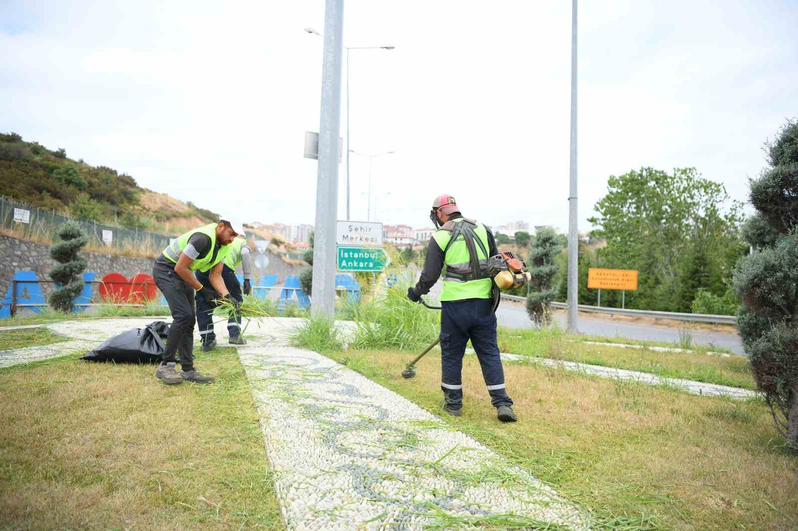 Çayırova’da yabani otlar temizleniyor
