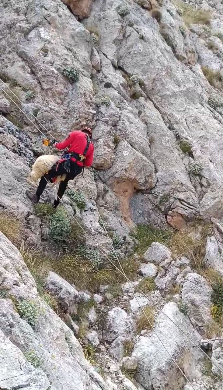 Kayalıklarda mahsur kalan çoban ve koyun kurtarıldı
