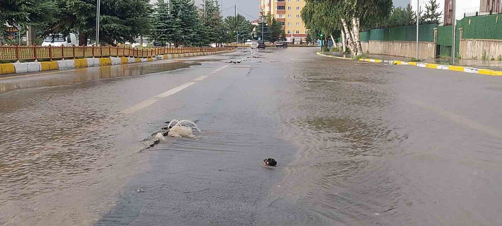 Erzurum’da sağanak hayatı durma noktasına getirdi
