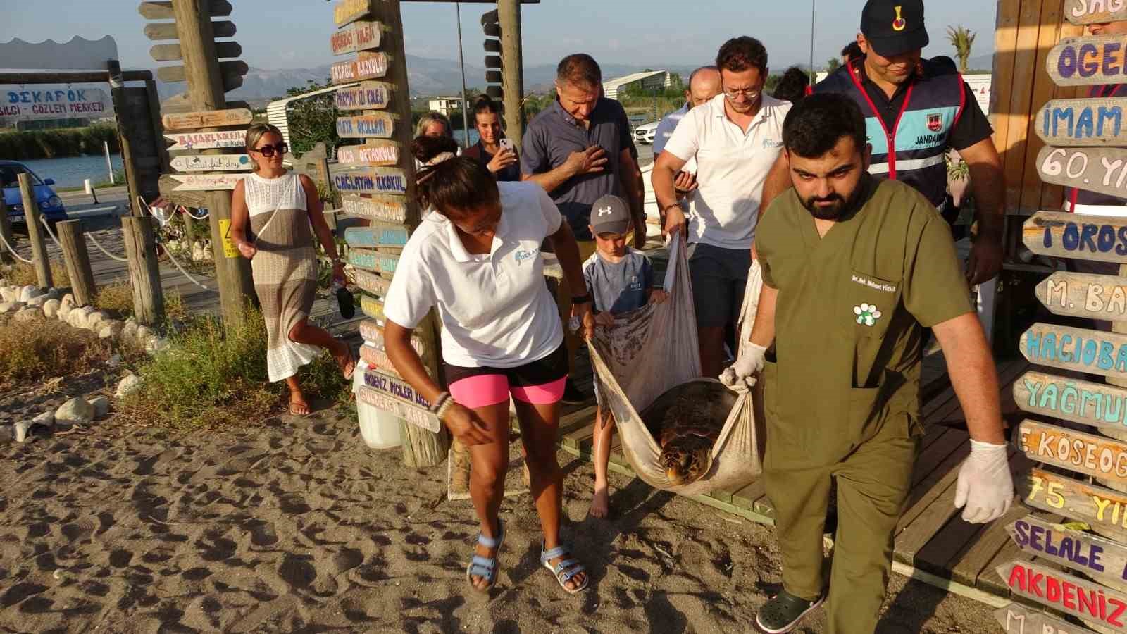 Yaralı Caretta Caretta cerrahi müdahalenin ardından denize bırakıldı
