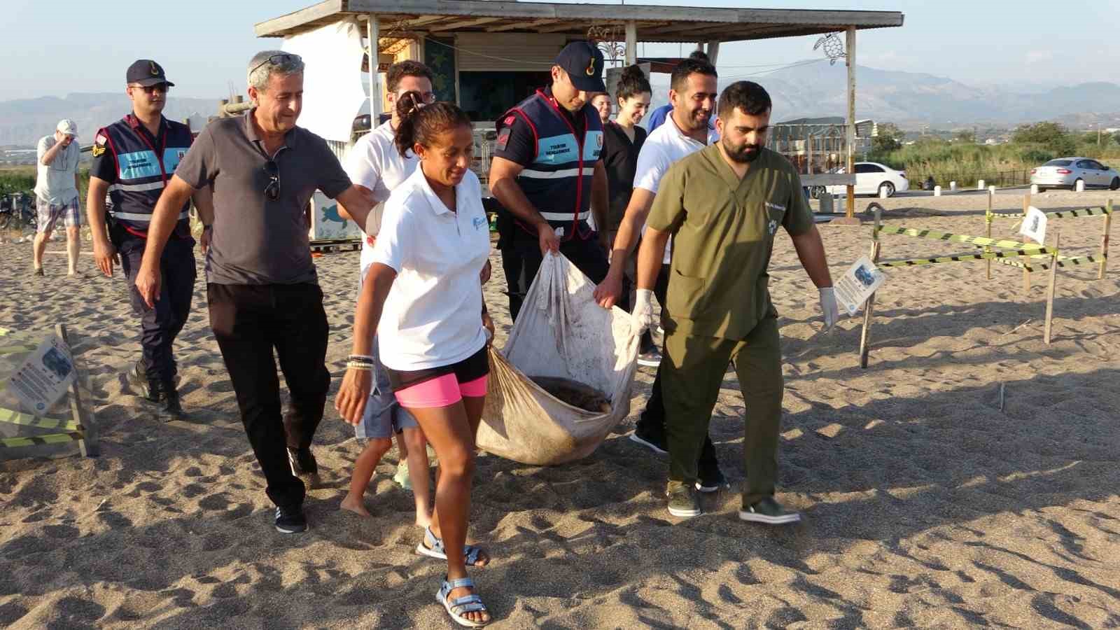 Yaralı Caretta Caretta cerrahi müdahalenin ardından denize bırakıldı
