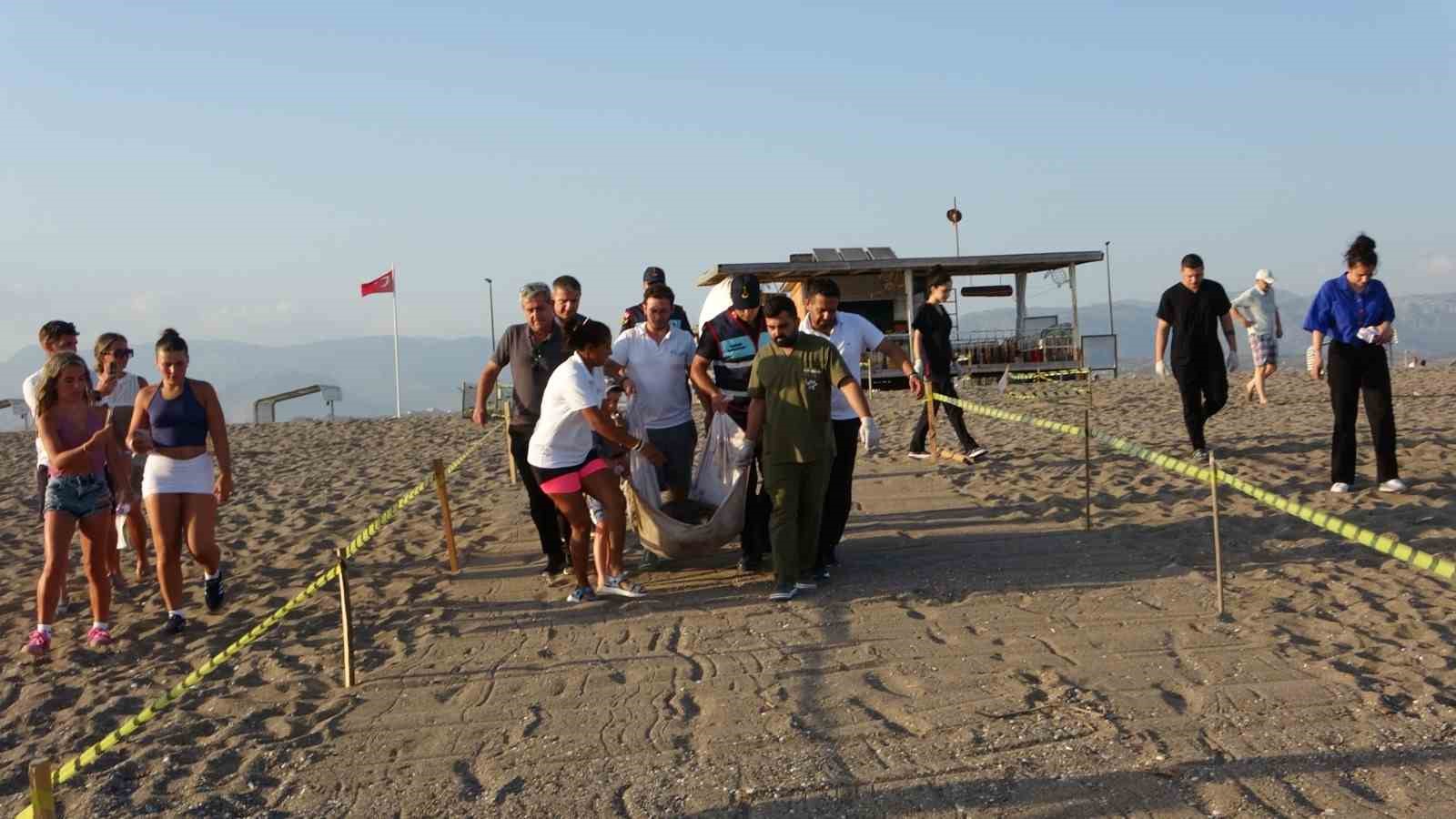 Yaralı Caretta Caretta cerrahi müdahalenin ardından denize bırakıldı
