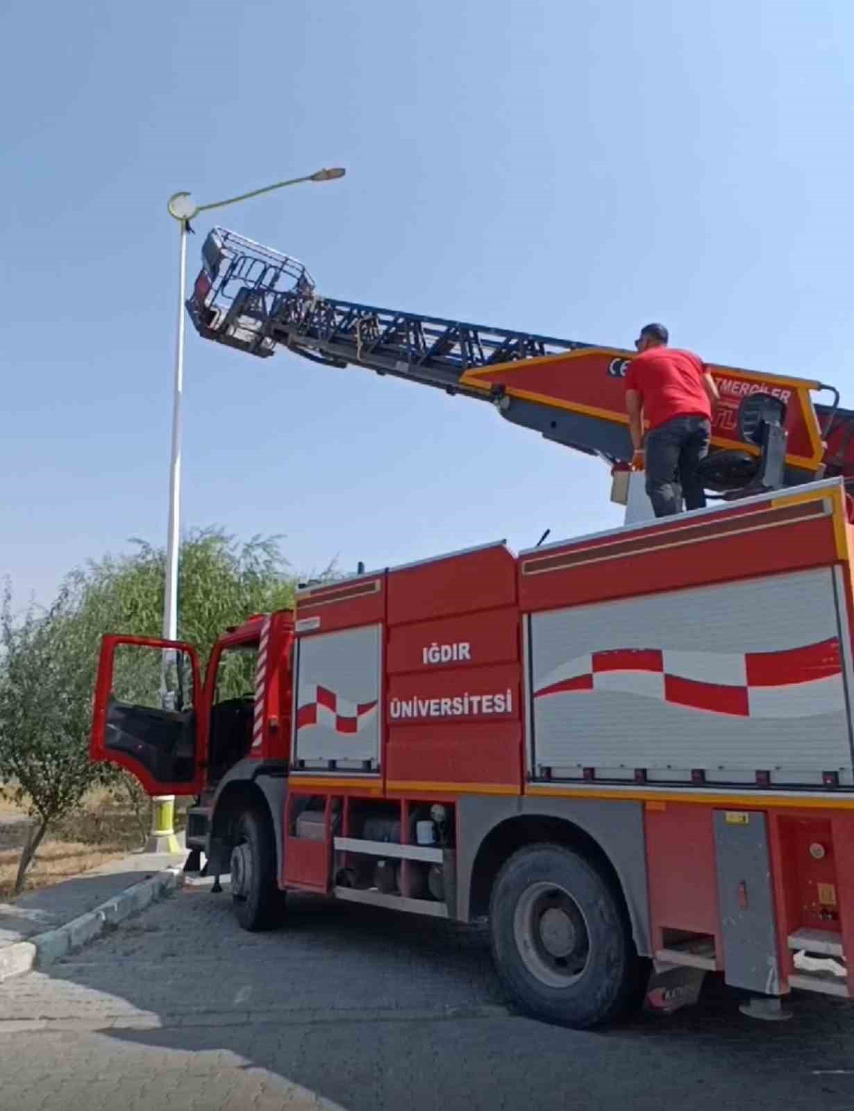 Üniversite personelinden karga kurtarma operasyon
