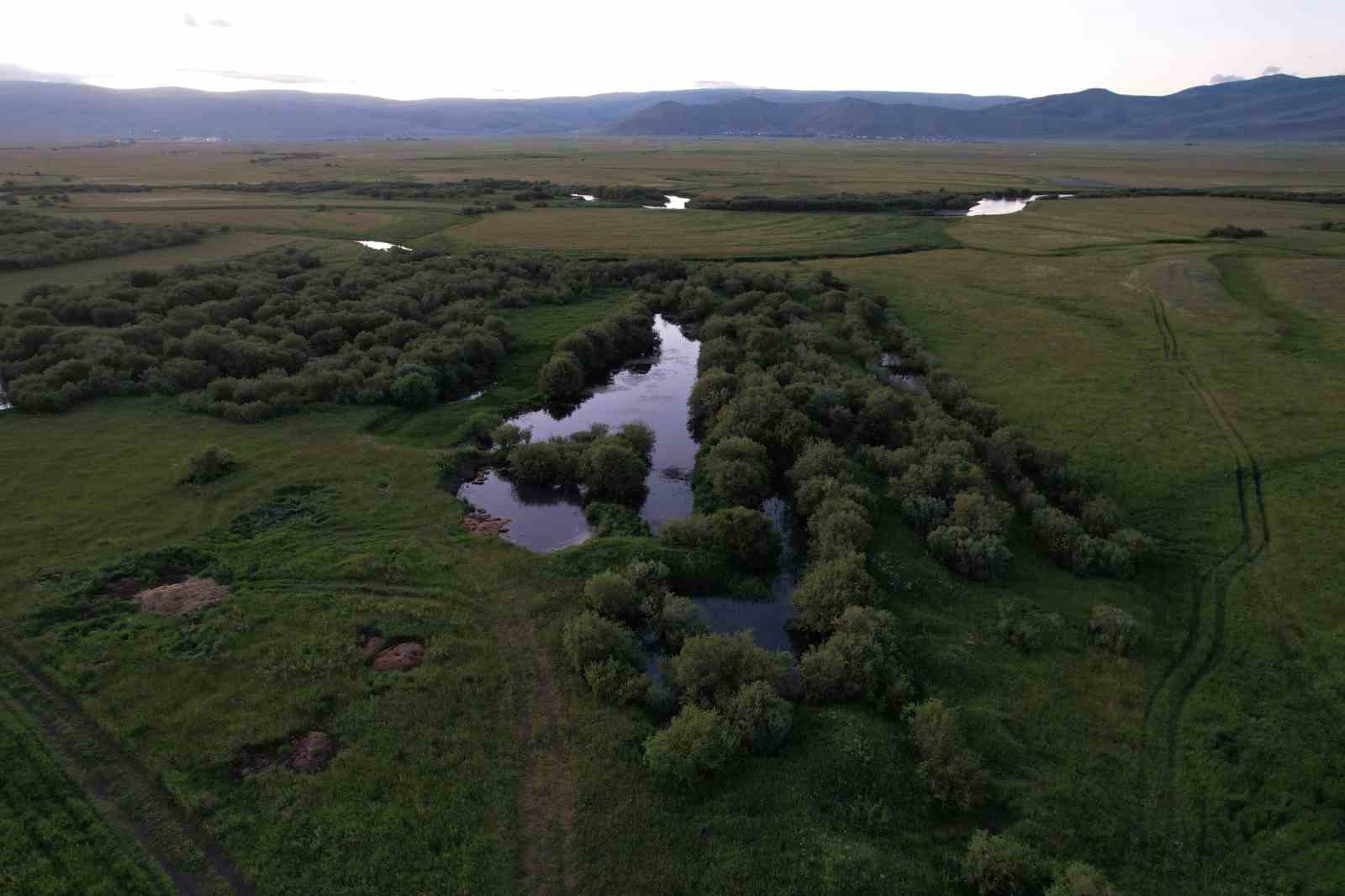 Ardahan’da menderesler havadan görüntülendi
