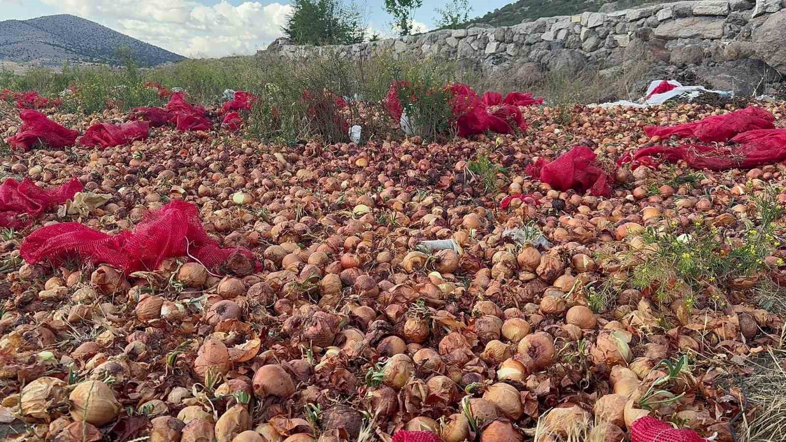 Yaklaşık 2 ton kuru soğanı boş araziye döküp gittiler
