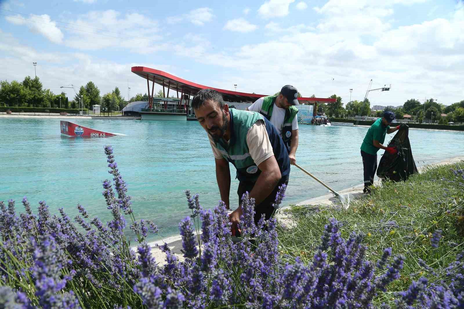 Büyükşehir 160 bin lavantanın hasadına başladı
