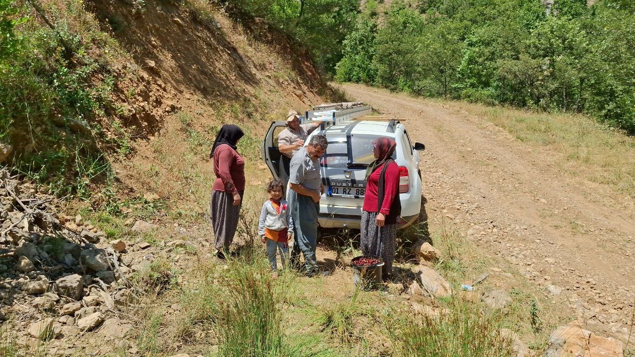 Sıcak hava kiraz hasadını erken tamamlattı
