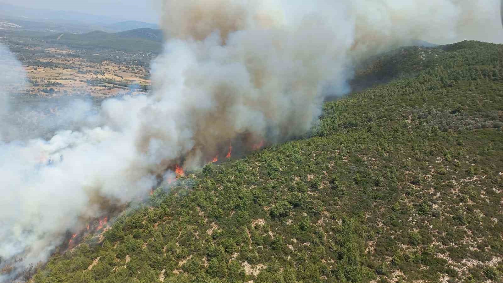 Bodrum’da orman yangını
