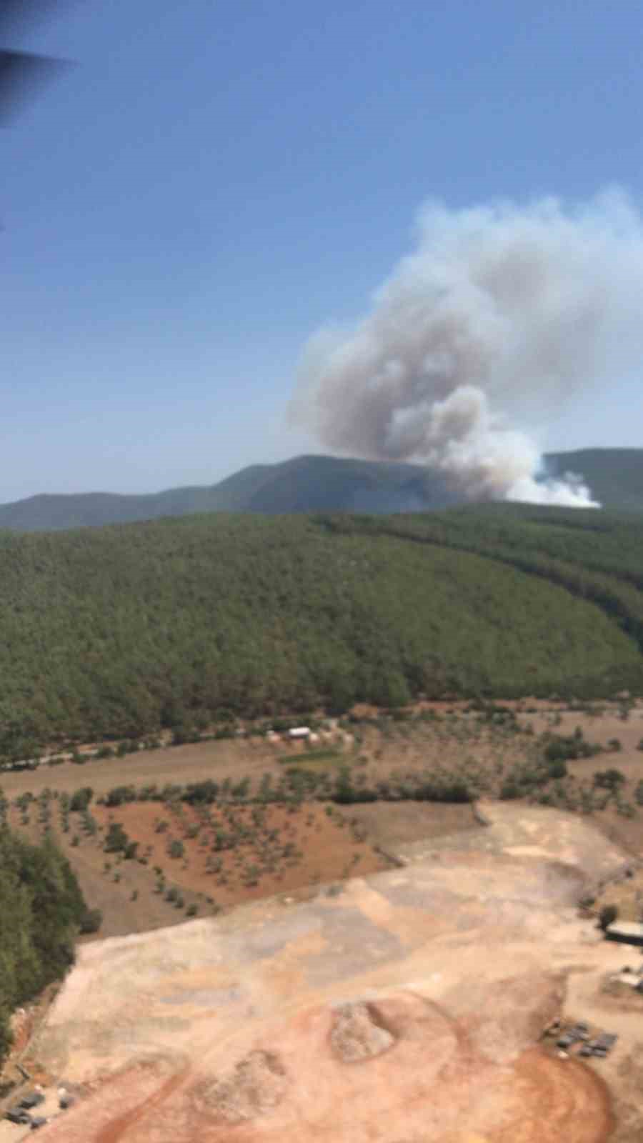 Bodrum’da orman yangını
