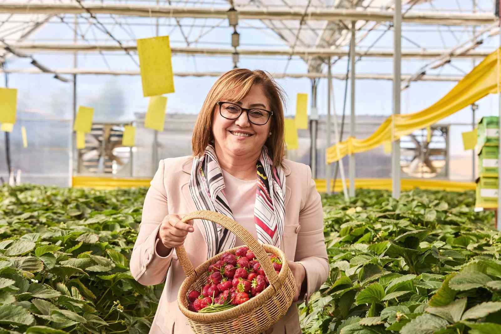 Seranın ürünleri yaşlılara dağıtıldı
