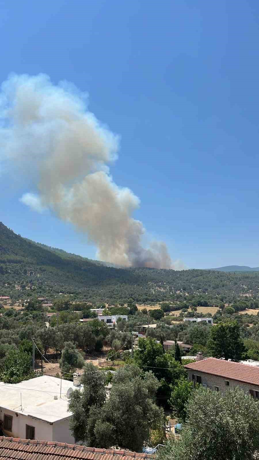 Bodrum’daki orman yangınına havadan ve karadan müdahale devam ediyor
